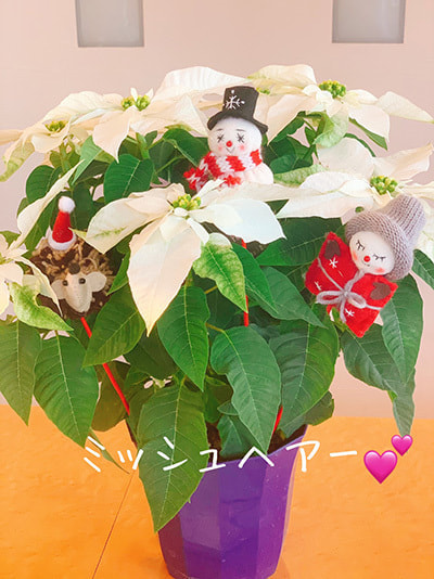 富士市美容室ミッシュヘアーの12月ご予約のお知らせのイメージ画像