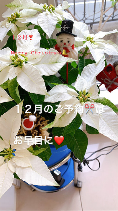 富士市美容室ミッシュヘアーのクリスマスのイメージ画像
