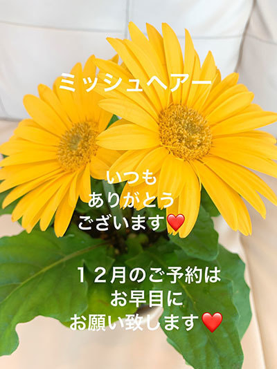 富士市美容室ミッシュヘアーの12月のお知らせのイメージ画像