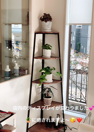 富士市美容室ミッシュヘアーの2月17日の店内ディスプレイの写真