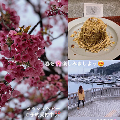 富士市の美容院ミッシュヘアーの3月22日のお知らせの春の桜の画像