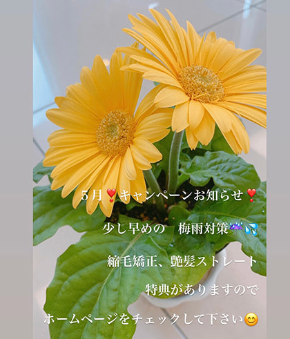 富士市美容院ミッシュヘアーの5月1日のお知らせ、5月の梅雨対策キャンペーンのイメージ画像