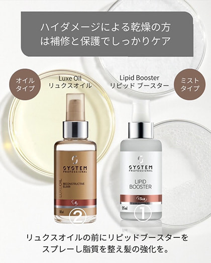 富士市美容室ミッシュヘアーの2023年3月30日のシステムのキャンペーン1