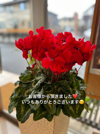 富士市美容室ミッシュヘアーの年末年始のお知らせ